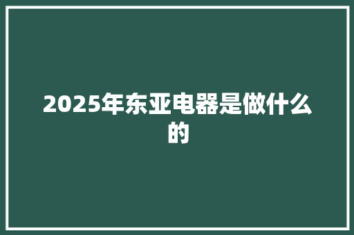 2025年东亚电器是做什么的